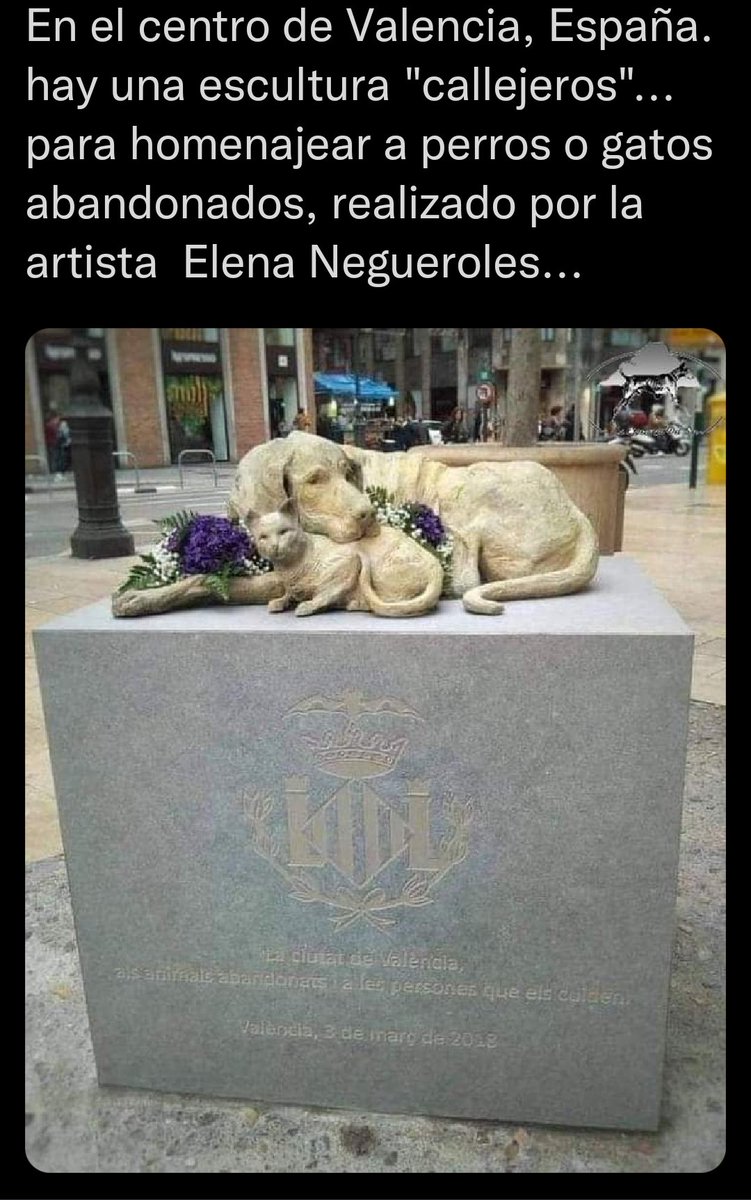 ♥️♥️♥️