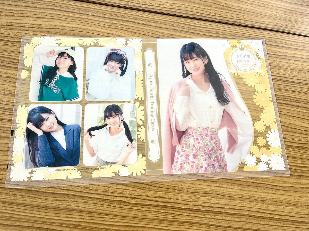あぐぽんコレクション バインダー - アイドル