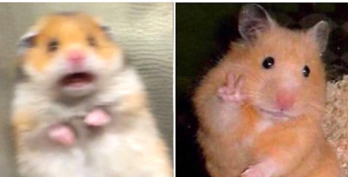 Quando pensi di aver perso un documento importante perché sei una persona disordinata ma poi lo ritrovi e ti stupisci di te stessə