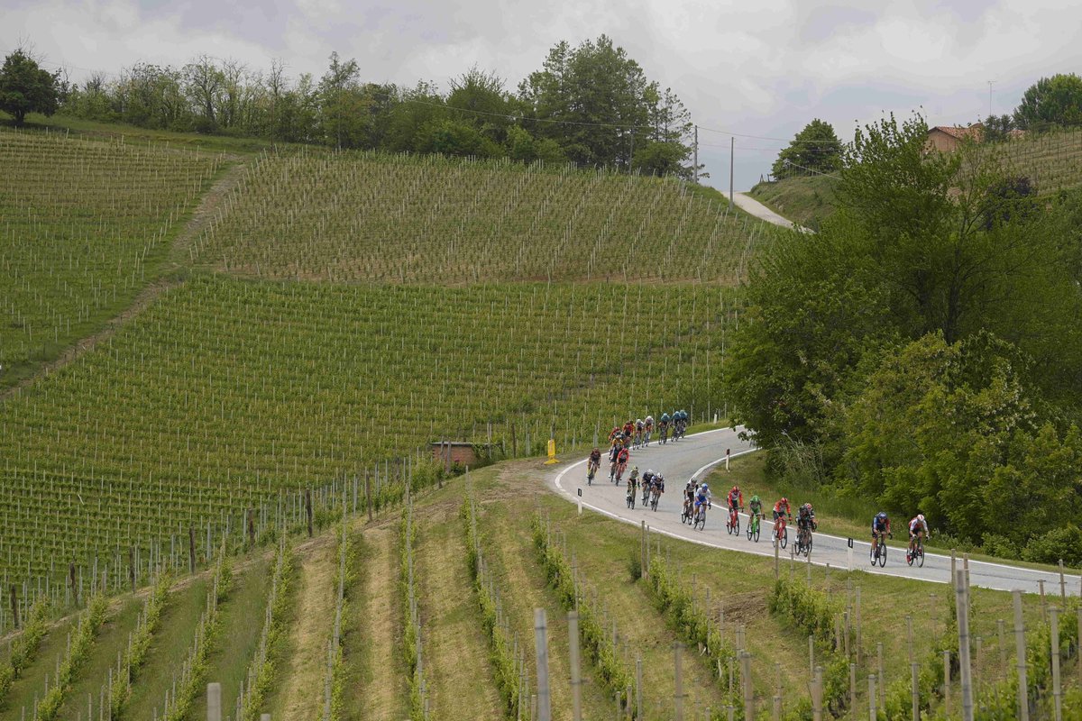 Our market is the wine areas that @giroditalia drives around. Today in Langhe, one of the most beautiful territory totally covered by vineyards. Our poles support the vines and allows this perfect paint. Thanks to riders and #Giro106 #Giro we strongly support @BORAhansgrohe