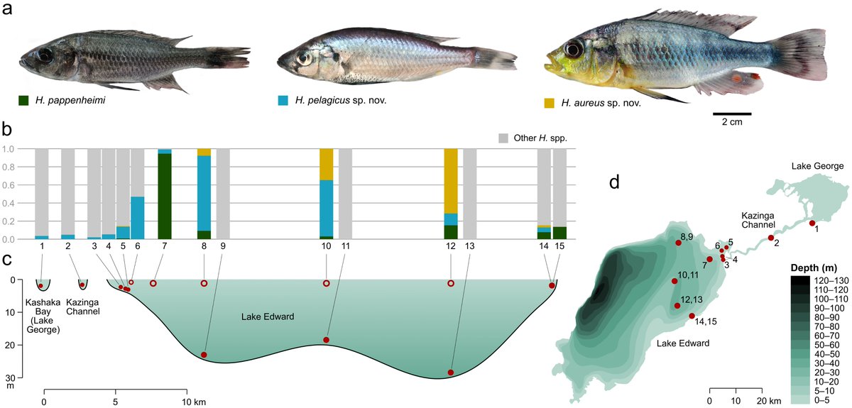 Nathan Vranken tweet media