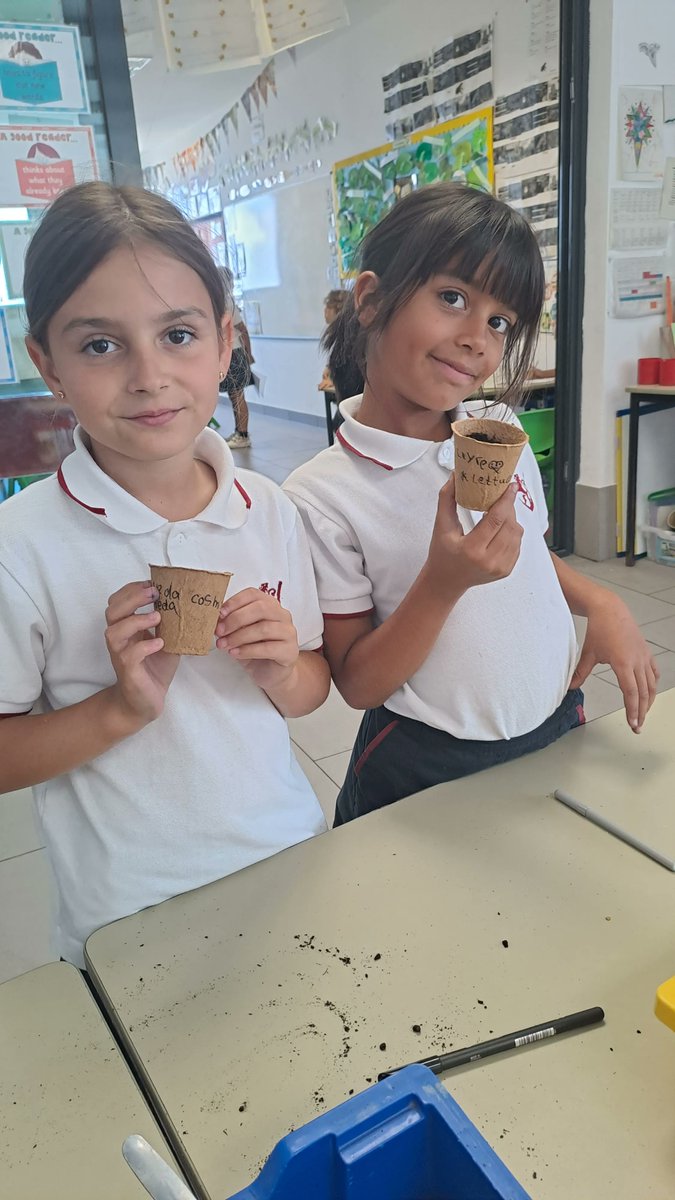 Year 3 Tafira followed instructions carefully to plant some seeds! They chose between cosmos flower, radish or lettuce seeds. We can't wait for them to germinate. 🌱🌱🌱