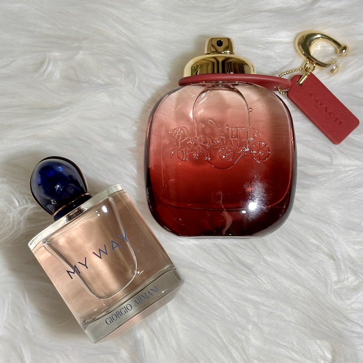cloudysnowys's tweet photo. coach wild rose 🤝  giorgio armani my way

2 perfume high end favorite aku, yang wanginya itu bener2 AWET BANGET dipake seharian mau indoor atau outdoor pun, GOKIL🥲⭐️⭐️⭐️⭐️⭐️

setiap pake 2 ini selalu di notice temen aku karena wanginya kecium &amp; awet banget nempel di bajunya https://t.co/z4KLeDwSX7