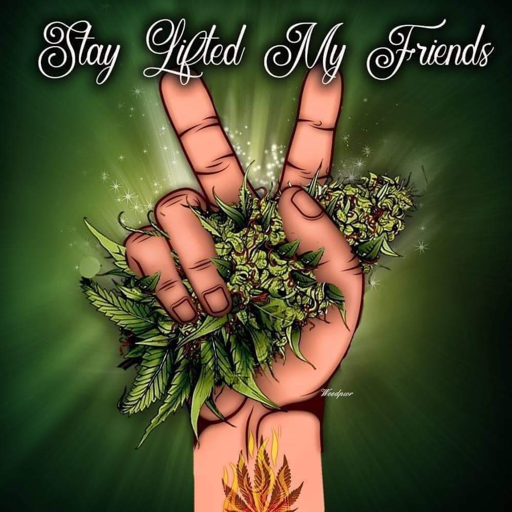 Start off high and stay high good morning stoners #freakyfriday420 #thecandilady #motafresh #420community #420day #420 #420fam #Weedmob #weedsmokers #WeedLovers #StonerFam #stonernation #STONER #stonerthoughts #stoners #Mmemberville