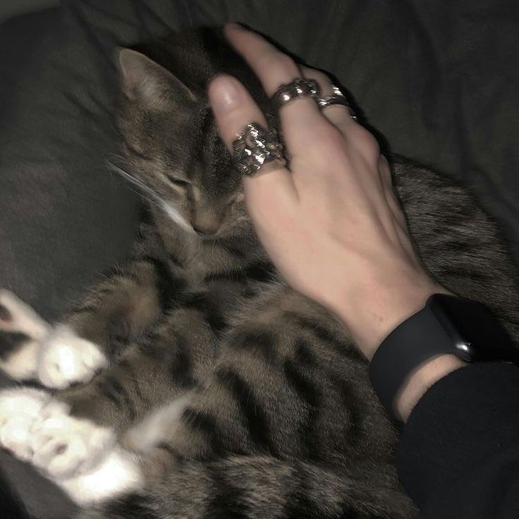 KyoSean's tweet image. ᅟᅟᅟ  ᅟᅟᅟᅟᅟ  ᅟᅟᅟᅟᅟ  ᅟᅟᅟᅟᅟ 
ᅟᅟᅟ  ᅟᅟ𝐂omfort 𝐙one
ᅟᅟᅟᅟᅟᅟᅟᅟ.
ᅟᅟᅟᅟ    
ᅟᅟ