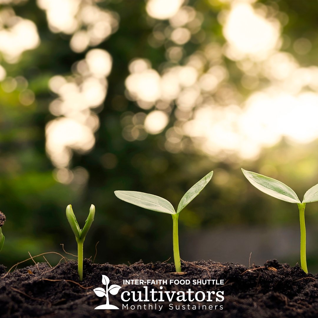 We’re all about sustainability. You can be a sustaining monthly donor with a just $10 a month. Cultivate a real difference in the lives of families, children, and seniors at risk of hunger in our community! foodshuttle.org/cultivators #feedteachgrow #cultivators #sustainability