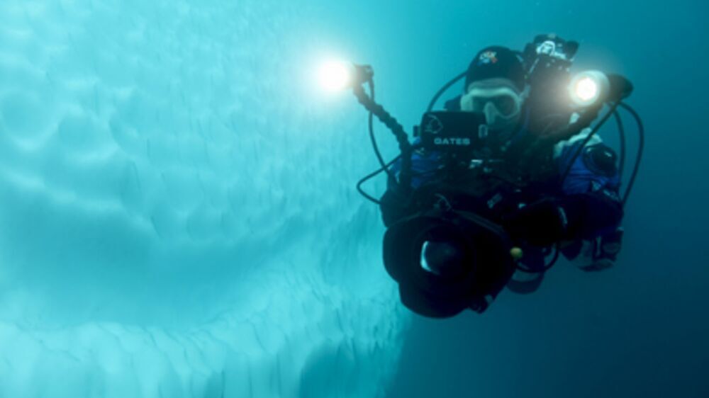 DivingTales's tweet photo. An Unforgettable Dive: Iceberg, Straight Ahead! https://t.co/IvLHcw4MV9 Found b https://t.co/ssayLAoaG3 https://t.co/DNsRqr8Y3Y