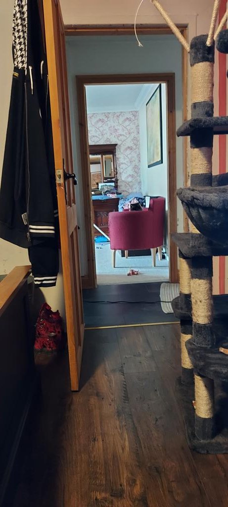MoogleMoment's tweet photo. He peek (Poe just walked by) https://t.co/089aJ0XnFd