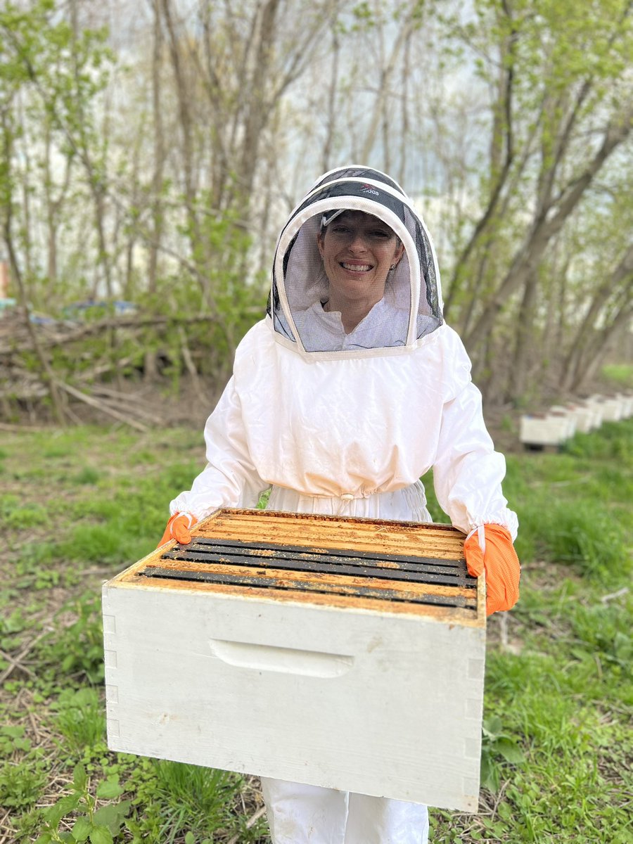 With Soney Bees, producer, and seller of honey at our #FarmersMarket, we celebrate this year's #WorldBeeDay on May 20, recognizing the importance of bees for our present and future. We hope you do too. 

#GroundworkLawrence