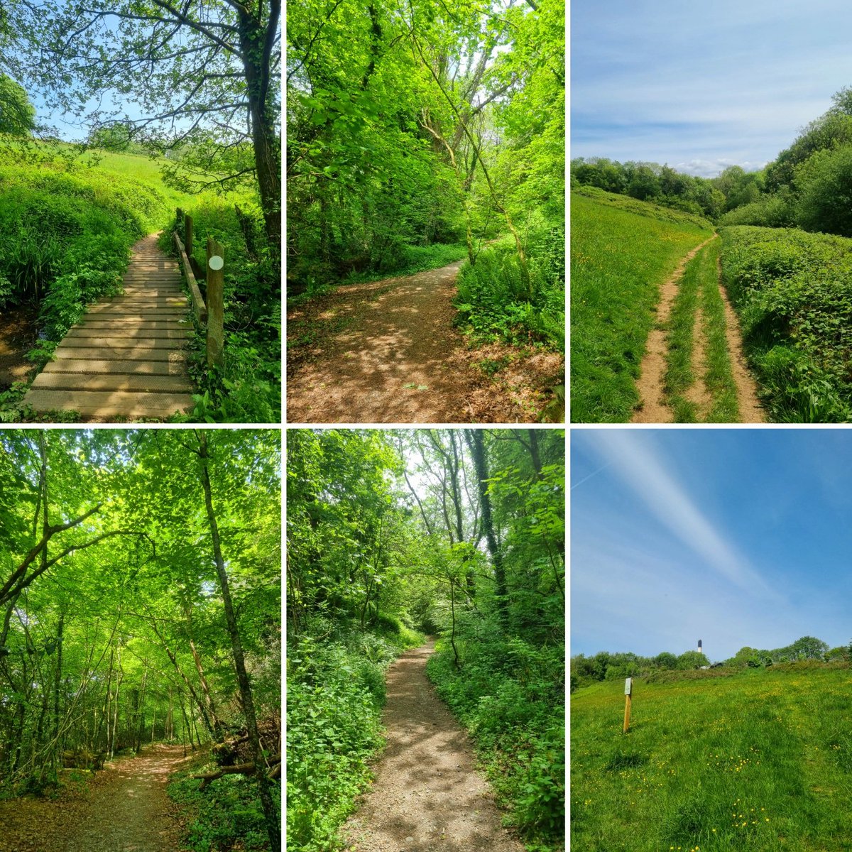 National Walking Month is here!

Join Kerrie &amp; Jo for a swift 30 minute walk at lunchtime!!

Mondays and Thursdays, 12:15 - 12:45 with Kerrie

Tuesdays and Wednesdays, 13:15 - 13:45 with Jo

No need to book. Just meet at the DCHW main reception.

Come on by whilst the sun is out!