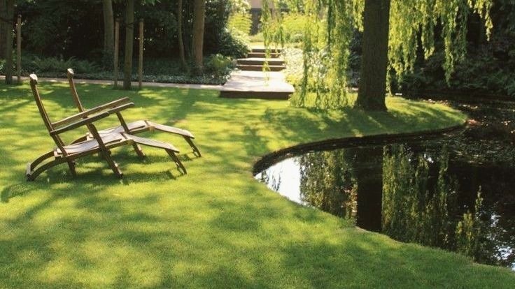 moodyonmoon's tweet photo. By the pond 🌿 https://t.co/1gIcjaDDJF