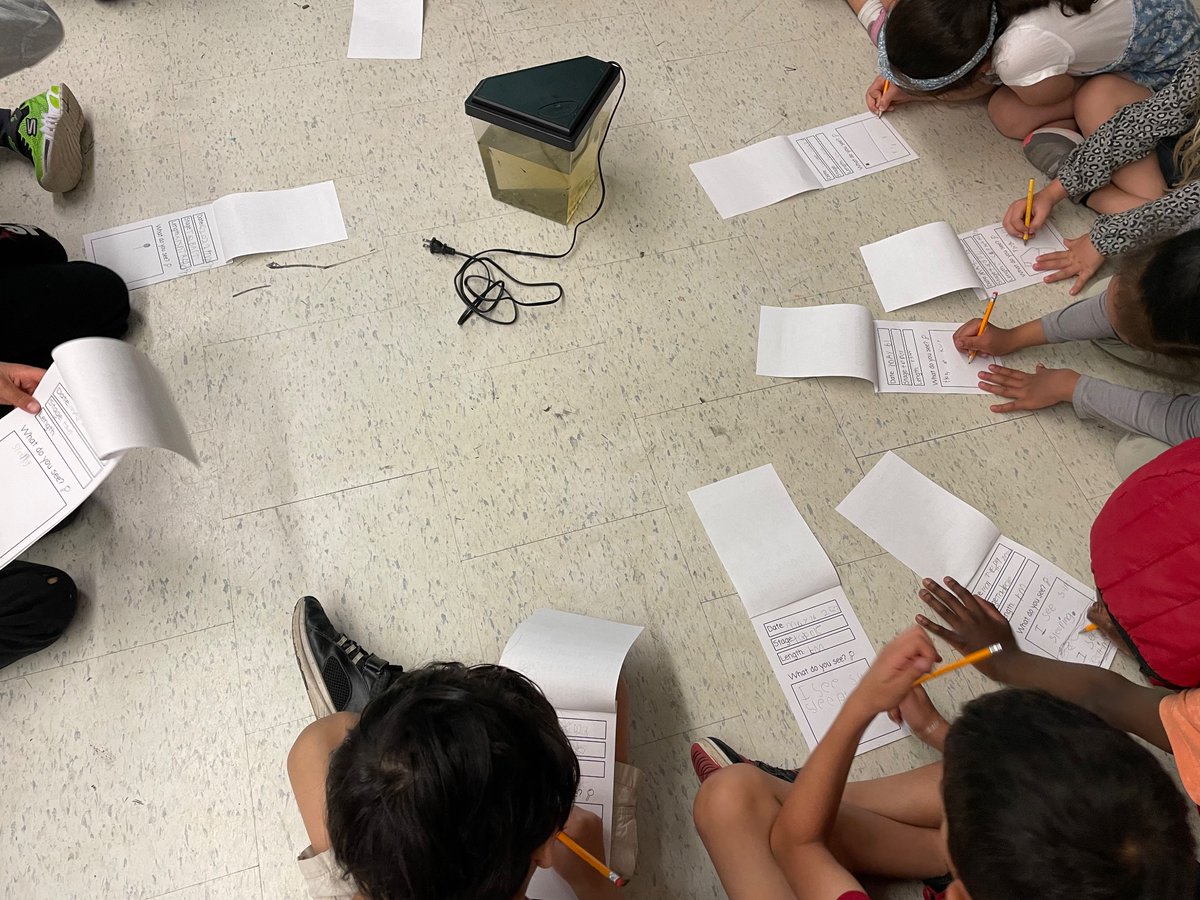 Excited to watch our new classroom additions grow!
<a href="/SirIsaacBrockPS/">Sir Isaac Brock PS</a>