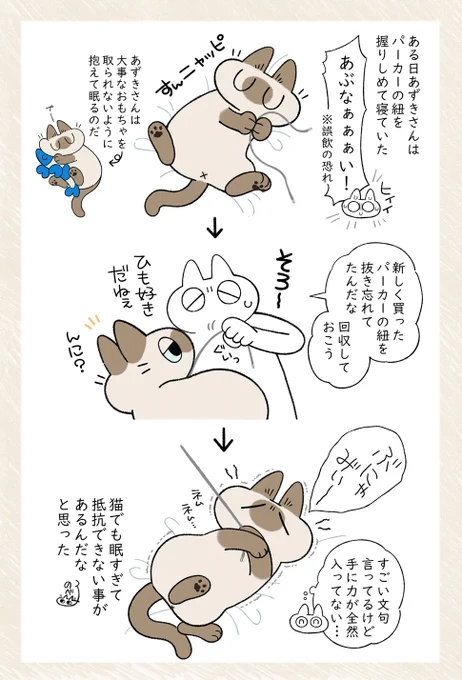 眠すぎてどうしても目が開かない時あるよね #シャム猫あずきさんは世界の中心