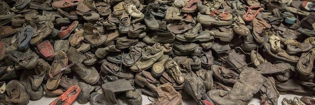 reyagain tweet media