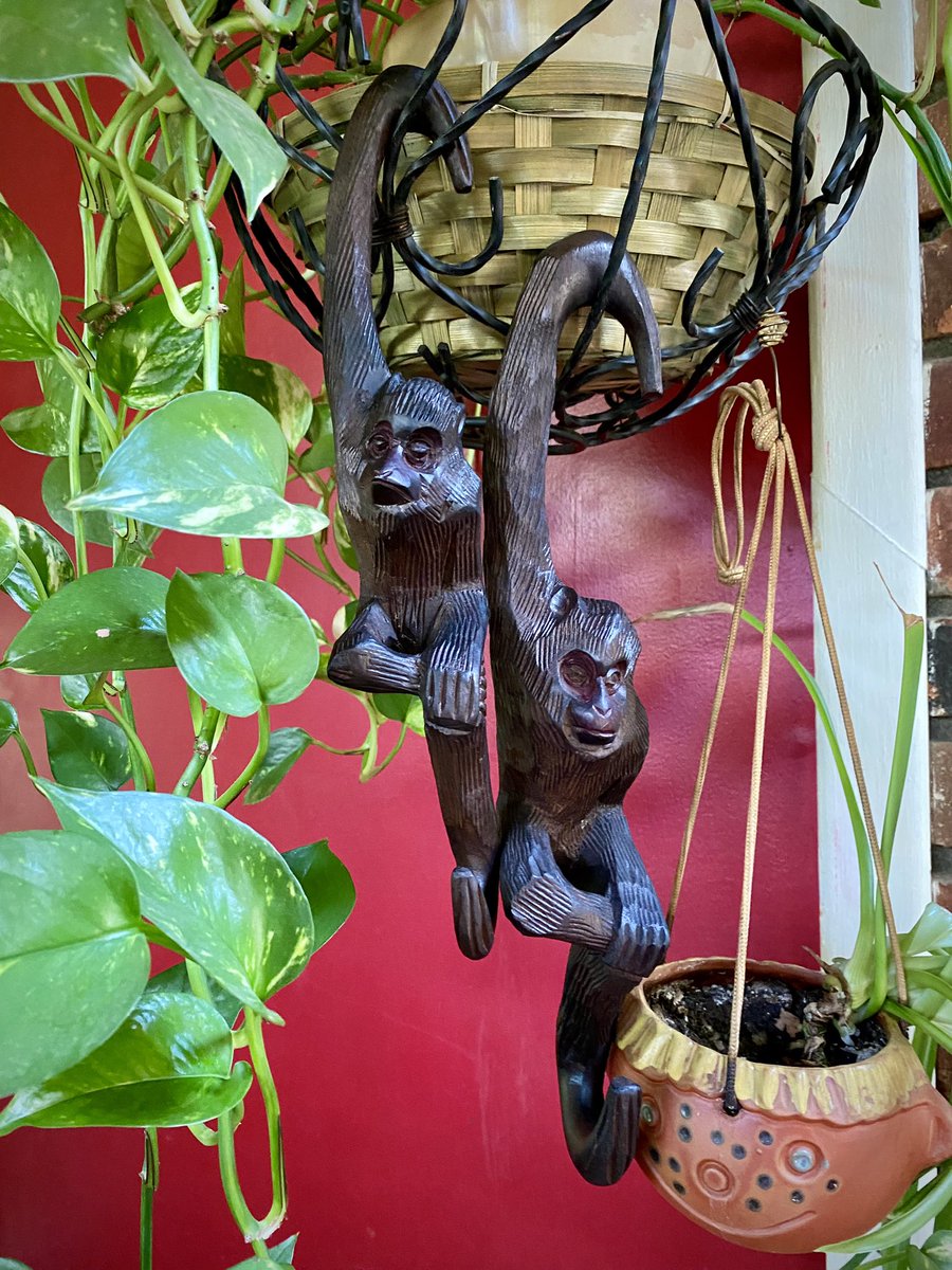 Just hanging around today!
etsy.com/listing/146104…
🙈🙉🙊
#vintageshopping #vintagefun #quirkyart #etsyvintage #etsyfinds #buyvintagesavetheworld #woodenart #woodcarving #monkeys #homedecor #monkeyseemonkeydo #hangingart #plantaccessories #plantdecor