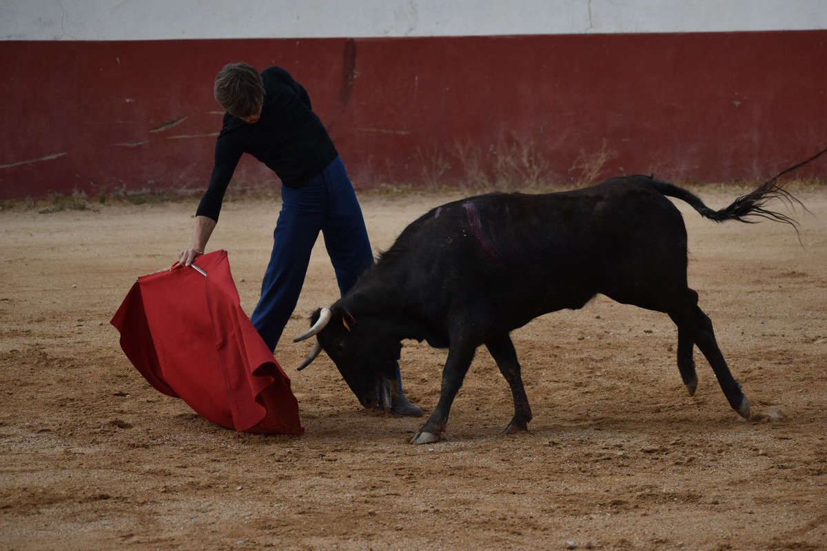 Don Rafaé El Pipo (@rafaelelpipo) on Twitter photo En los 90 me enganchó a esto uno de Sanlúcar,al que le llamaban "El latero".
Ayer en <a href="/Guadalmenatoros/">Ganaderia Guadalmena Oficial</a> Juan Leal me hizo joven de nuevo.
Cómo estuvo ese tío ayer con dos auténticos "vacos",a cinco días de Madrid.
Daba votes recordando a Ojeda.
Ese tío tiene dos bemoles! En los 90 me enganchó a esto uno de Sanlúcar,al que le llamaban "El latero".
Ayer en <a href="/Guadalmenatoros/">Ganaderia Guadalmena Oficial</a> Juan Leal me hizo joven de nuevo.
Cómo estuvo ese tío ayer con dos auténticos "vacos",a cinco días de Madrid.
Daba votes recordando a Ojeda.
Ese tío tiene dos bemoles!