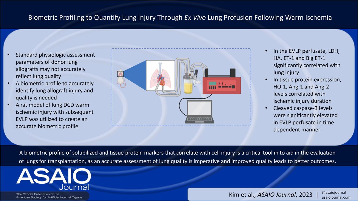 asaiojournal tweet media