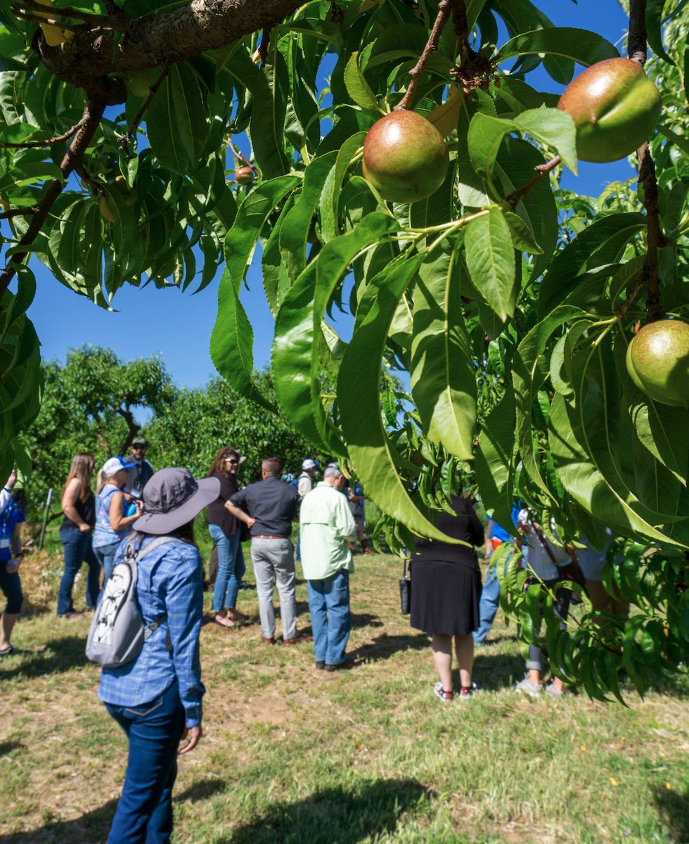 Placer Resource Conservation District tweet media