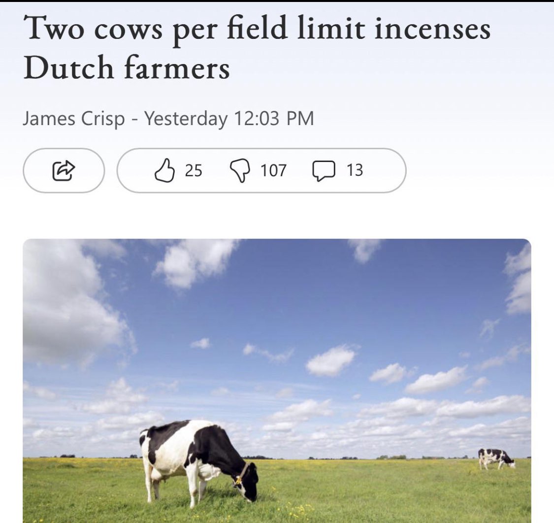 Wall Street Mav tweet media