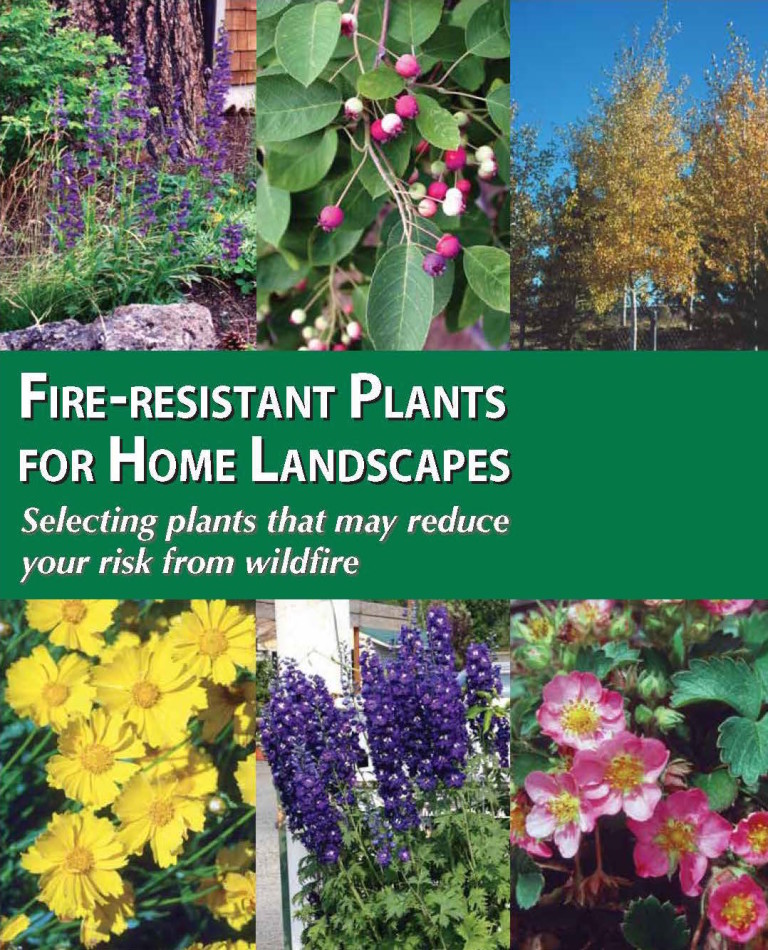FireTracApp's tweet photo. #Wildfire prep, 5-30 feet around your home: Reduce flammable vegetation, mow regularly &amp; trim/prune branches six feet off the ground, reducing fire running up trees. Plant native plants, which are more fire-resistant &amp; natural to the landscape.

https://t.co/mgzcyEUpd6 https://t.co/nguKFkurz9