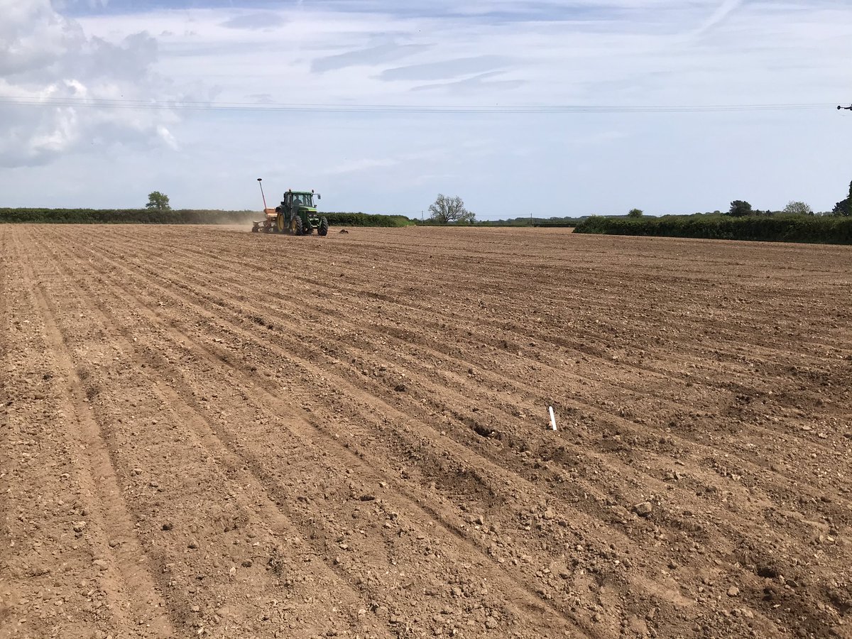 seedspecialist's tweet photo. Perfect Fit! #MaizeDemoSW1 done, 20 varieties in the ground. #FieldOptions #Procam https://t.co/X5G0pYarbq
