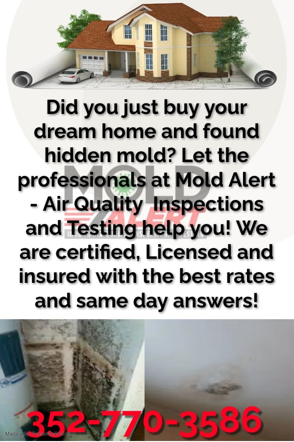 MoldAlertFL's tweet image. Schedule your appointment today!
