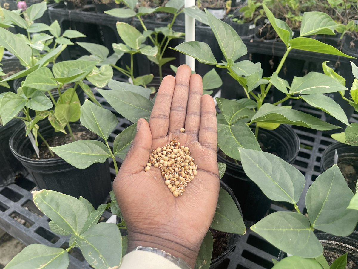 on Twitter "RT bibakinmade Discover the