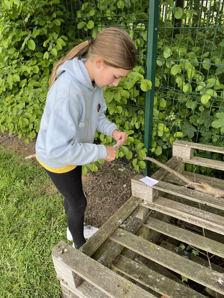 DSJ_Year6's tweet photo. Using our orienteering skills outside 🧭🗺️ https://t.co/kwNsv1NwYJ
