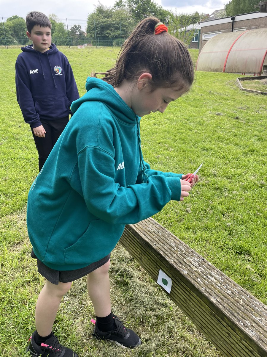 DSJ_Year6's tweet photo. Using our orienteering skills outside 🧭🗺️ https://t.co/kwNsv1NwYJ