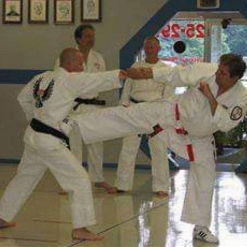 ewcdojo's tweet photo. #tbt #throwback #throwbackthursday #halescornerswi #karate #martialarts #milwaukee #mke #onmilwaukee #wisconsinmartialarts #yamashitakarate https://t.co/S1DoxJ3YjL