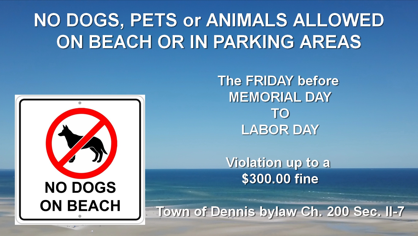 Town of Dennis (TownofDennis) / Twitter