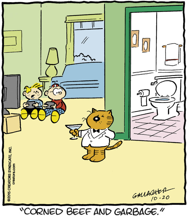 its_heathcliff's tweet photo. Here's Heathcliff! https://t.co/XJHoye1ZRr