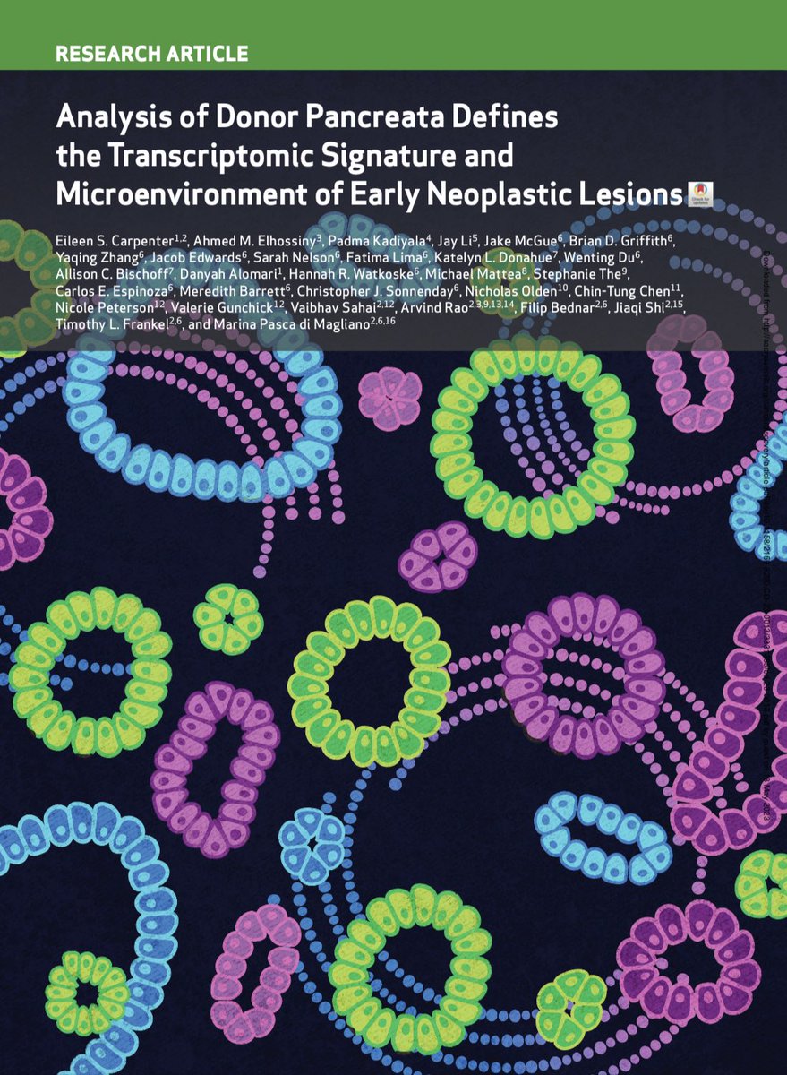 Anirban Maitra (@aiims1742) on Twitter photo The final published version of this landmark study from <a href="/Pasca_Lab/">PascaLab</a> <a href="/timofran1/">timofran</a> & colleagues <a href="/UMICHpancreas/">Rogel and Blondy Center for Pancreatic Cancer</a>
#OpenAccess in <a href="/CD_AACR/">Cancer Discovery</a>
aacrjournals.org/cancerdiscover… The final published version of this landmark study from <a href="/Pasca_Lab/">PascaLab</a> <a href="/timofran1/">timofran</a> & colleagues <a href="/UMICHpancreas/">Rogel and Blondy Center for Pancreatic Cancer</a>
#OpenAccess in <a href="/CD_AACR/">Cancer Discovery</a>
aacrjournals.org/cancerdiscover…