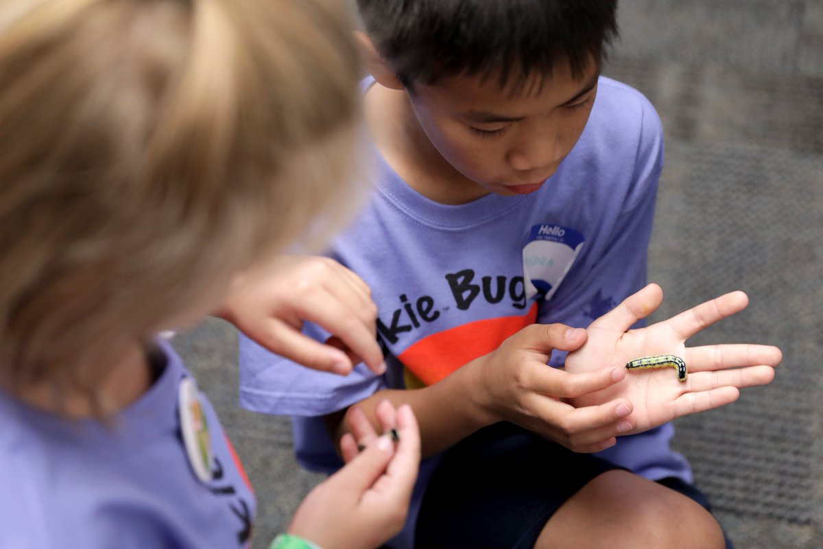 Virginia4_H's tweet photo. Hokie BugCamp is baaaack! 🐞

This hands-on, summer program gives kids a chance to get outside and learn more about the exciting science of #bugs. 

Find more info &amp; register here before June 23: https://t.co/87Lbaruesp

@VT_Entomology @HokieBugFest  @VTCals https://t.co/scTu1j7OW7