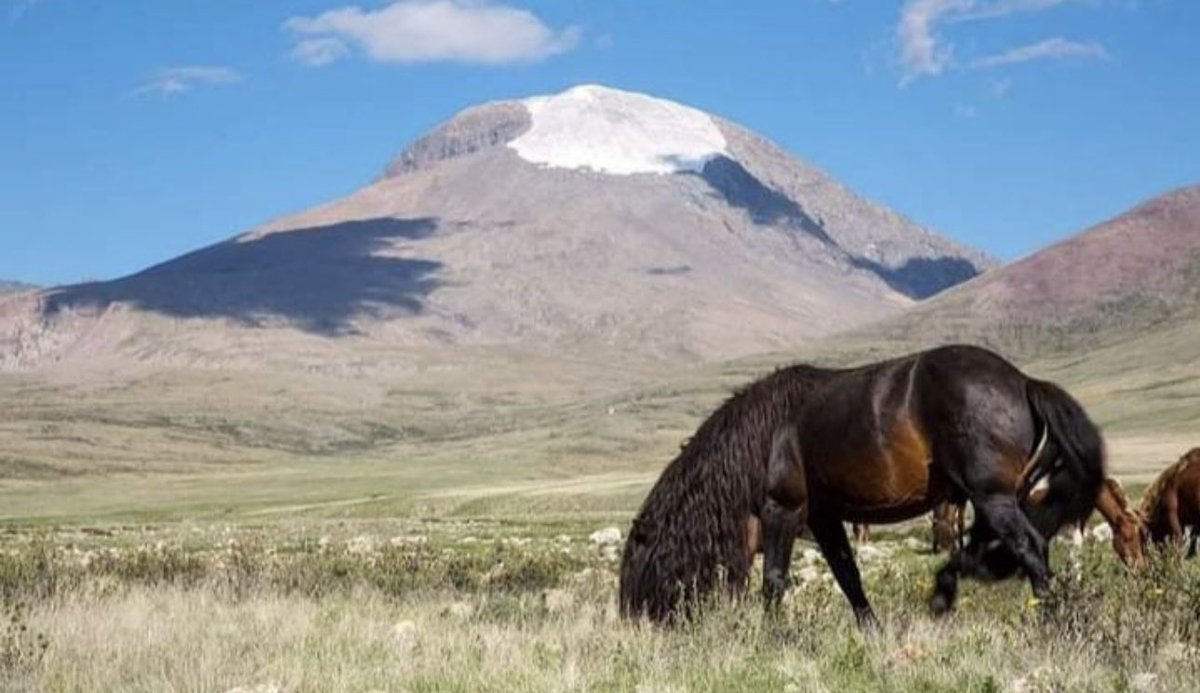 Хүн амьдралын 50 хувийг туулхад ухаан дутдаг бол үлдсэн 50 хувиа туулхад эрүүл мэнд дутдаг гэнэ🙏