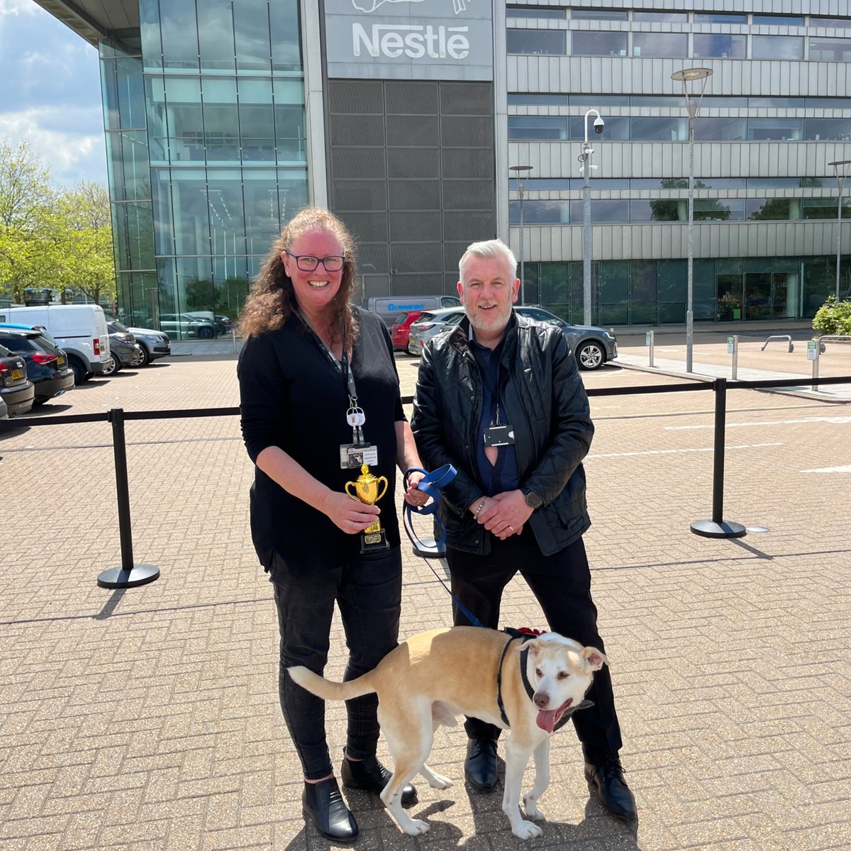 PurinaUK's tweet image. Our dog show fundraiser for @canine_partners at our Purina offices was totally pawsome!  🐾 

Big well done to Jasper who won the Best in Show prize! 🏅 🏆 #MentalHealthAwarenessWeek #PetsAtWork