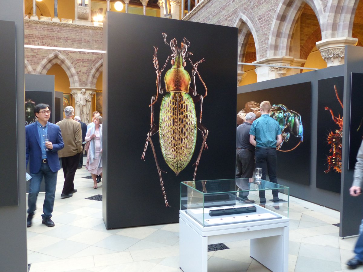 InkTecEurope1's tweet photo. Today is International Museums Day!

It reminded us of the Microsculpture Exhibition held by the Natural History Museum in Oxford.

Stunning images of bugs printed large scale on a JETRIX LED UV Flatbed Printer.

#InternationalMuseumsDay #NaturalHistoryMuseum #JETRIX #Oxford https://t.co/anLQ2zBDFG