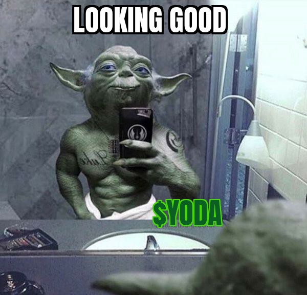 ftmyoda's tweet photo. Ready for the degens to wake up, am I. Hmmmmmm. $YODA $FTM

#YODA #FTM #shitcoin #memecoin https://t.co/aydB620S6M