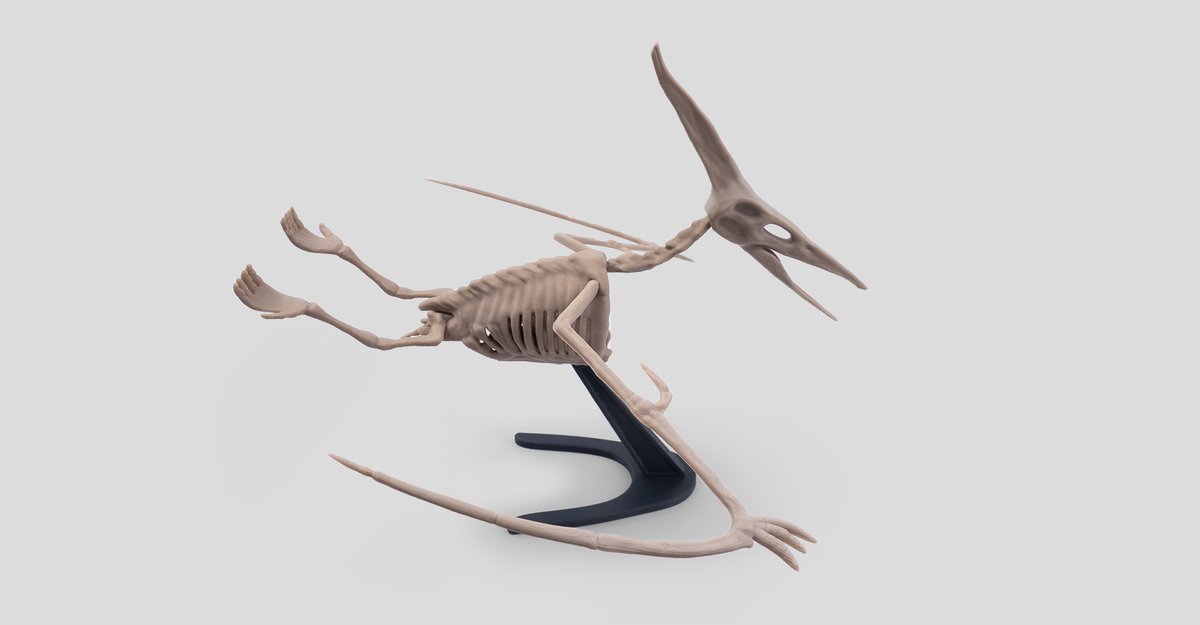3DGuyDubai's tweet photo. Pterodactyl Skeleton STL: https://t.co/t899J9OIG8 

https://t.co/res2U7BSFa #3Dprinting 

#3DPrinted #3dprinter #fab365 #3dmodeling #3DModel #3dmodels #Zbrush https://t.co/NAYBR4M48V