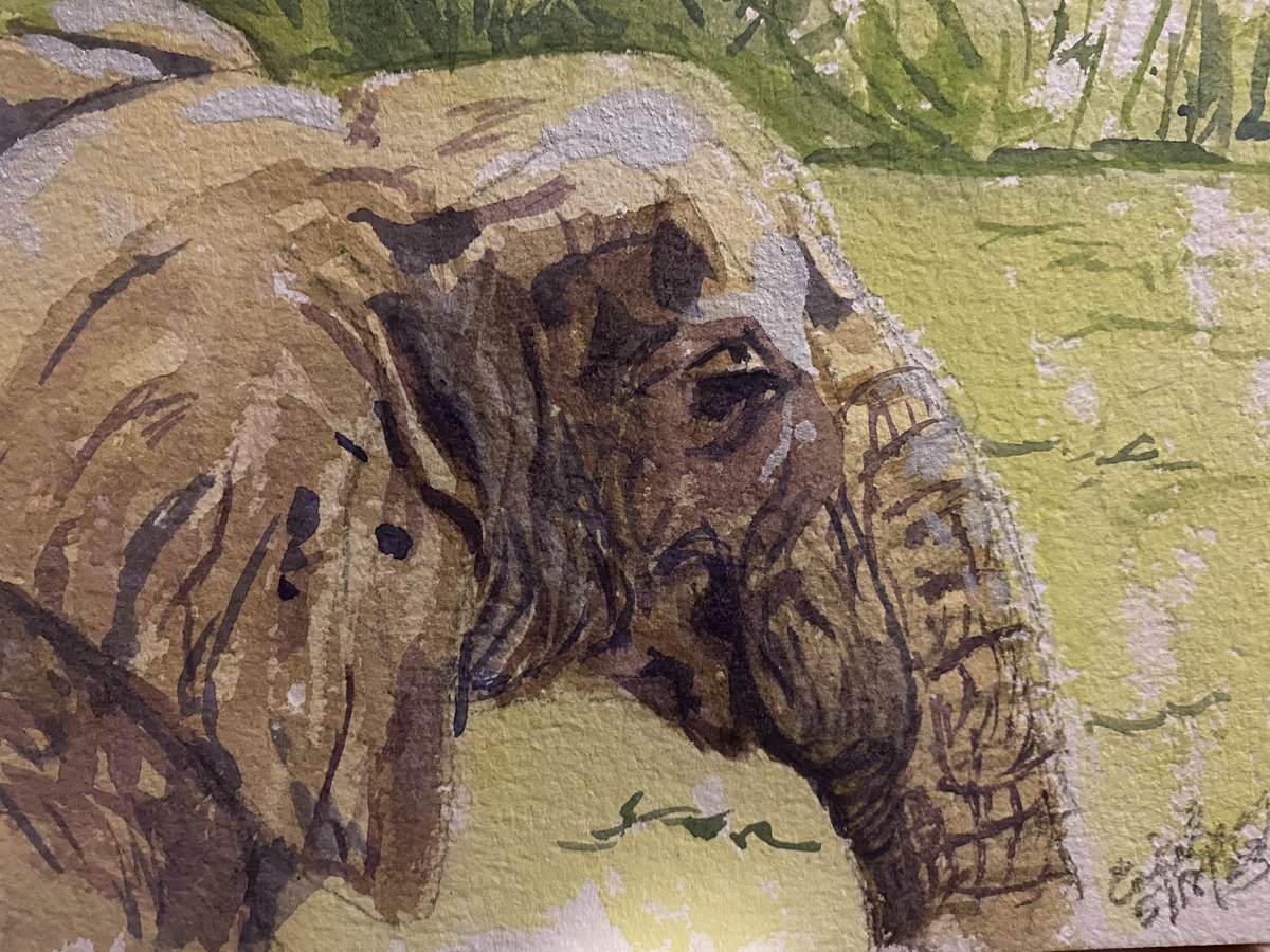 Erica Bey tweet media