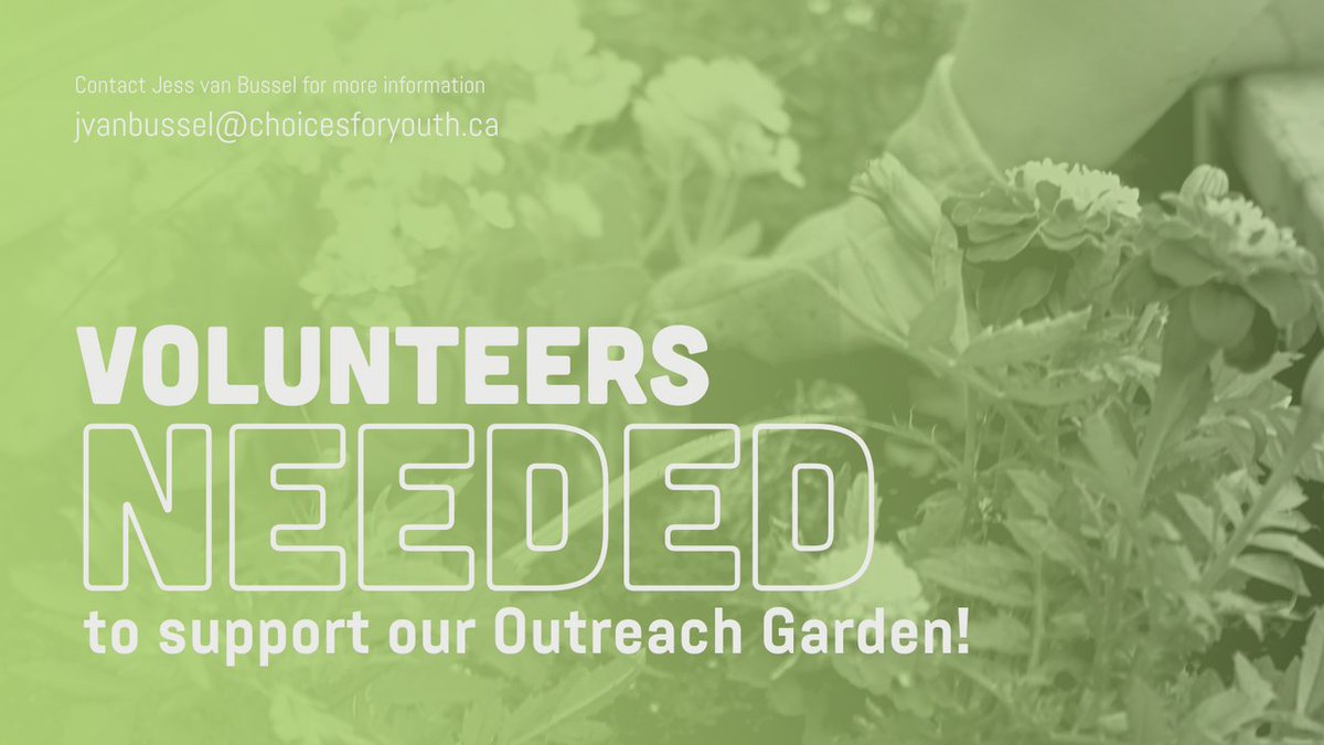choicesforyouth's tweet photo. Looking to volunteer? Got a green thumb? CFY needs your support! 🌱 Our Outreach team is recruiting volunteers to provide support in the Outreach Garden any weekday for 1-2 hours per volunteer shift ✨ Find out more: https://t.co/ocZ6JGrKNP #TogetherWeCan https://t.co/rA0zyefzEr