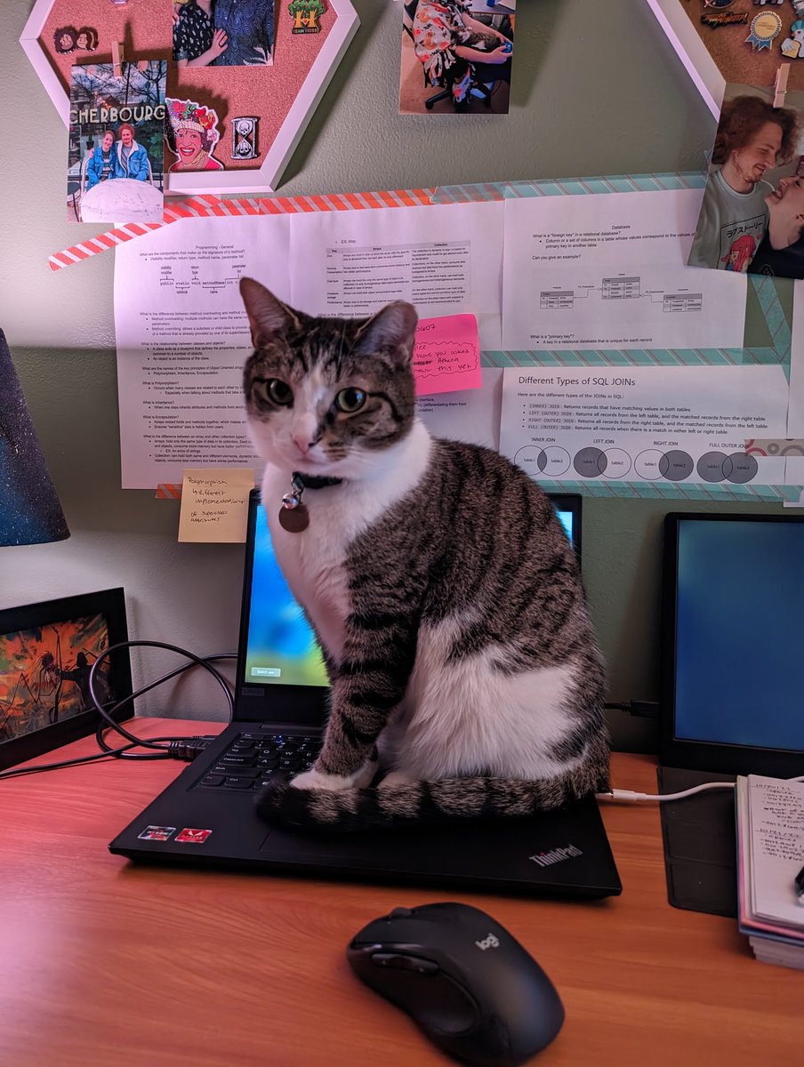 joewidd's tweet photo. A picture of your pet and what they're named after! https://t.co/CDwca05jRn