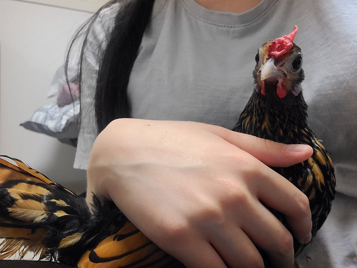 귀욤정면 삐❤️