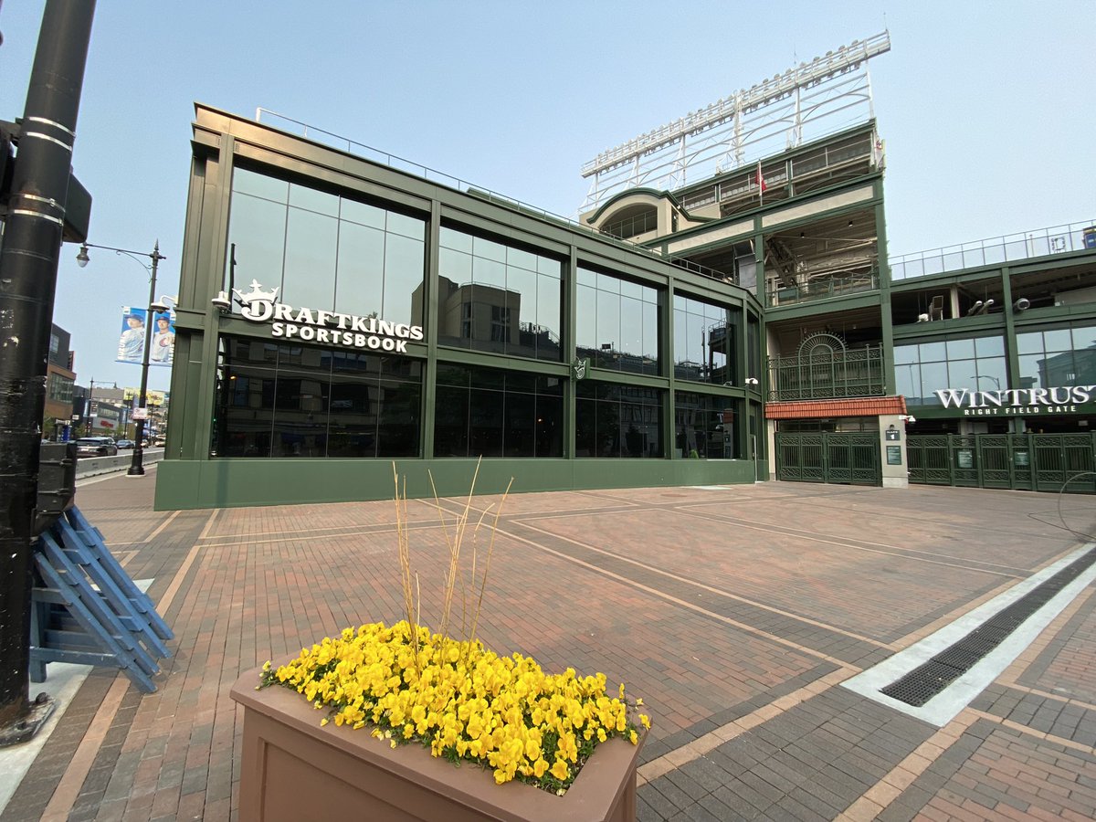 SonRanto's tweet image. #Cubs built a Sportsbook instead of a good team.