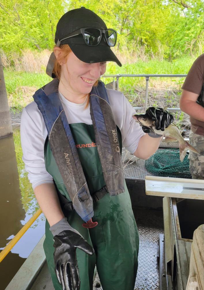 Yesterday we took pectoral fin spines from Channel Catfish and collected/pulled Silver Carp and Blue Sucker otoliths! Always a good time on the Big Sioux ☺️