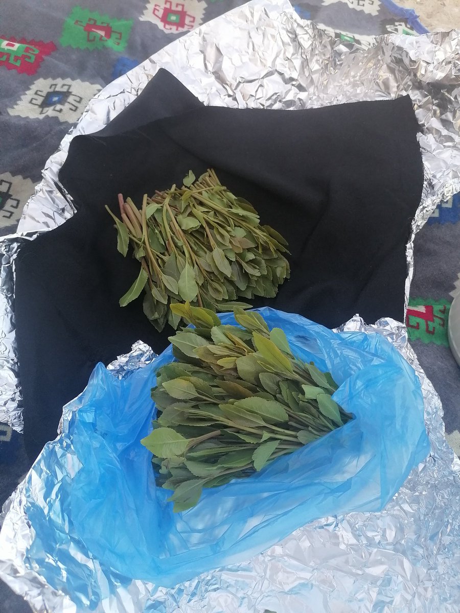 من بغا  النص الثاني ....... قسمه متساويه 😂