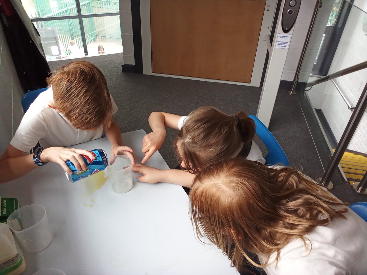 Epa_Year4's tweet photo. It is science week here and we are busy investigating the digestive system! @ErminePrimary @HarbourLearning #collaborativelearners #scienceweek https://t.co/zjCf3sODki