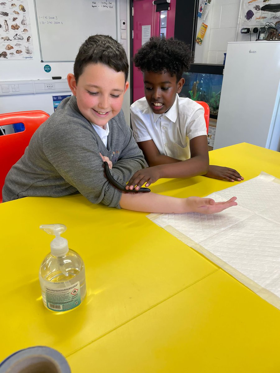 Sheffcolschools's tweet photo. Today, we held our primary festival at our Hillsborough campus. Two local primary school got to taste someone of the areas that college has to offer including sports, health and social care, animal care and childcare. A fun day had by all. #sheffieldcollege #primaryfestival https://t.co/ARUT5jYFjS