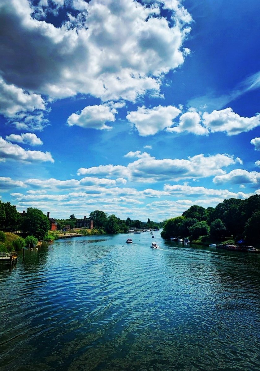 nablossom.blogspot.com