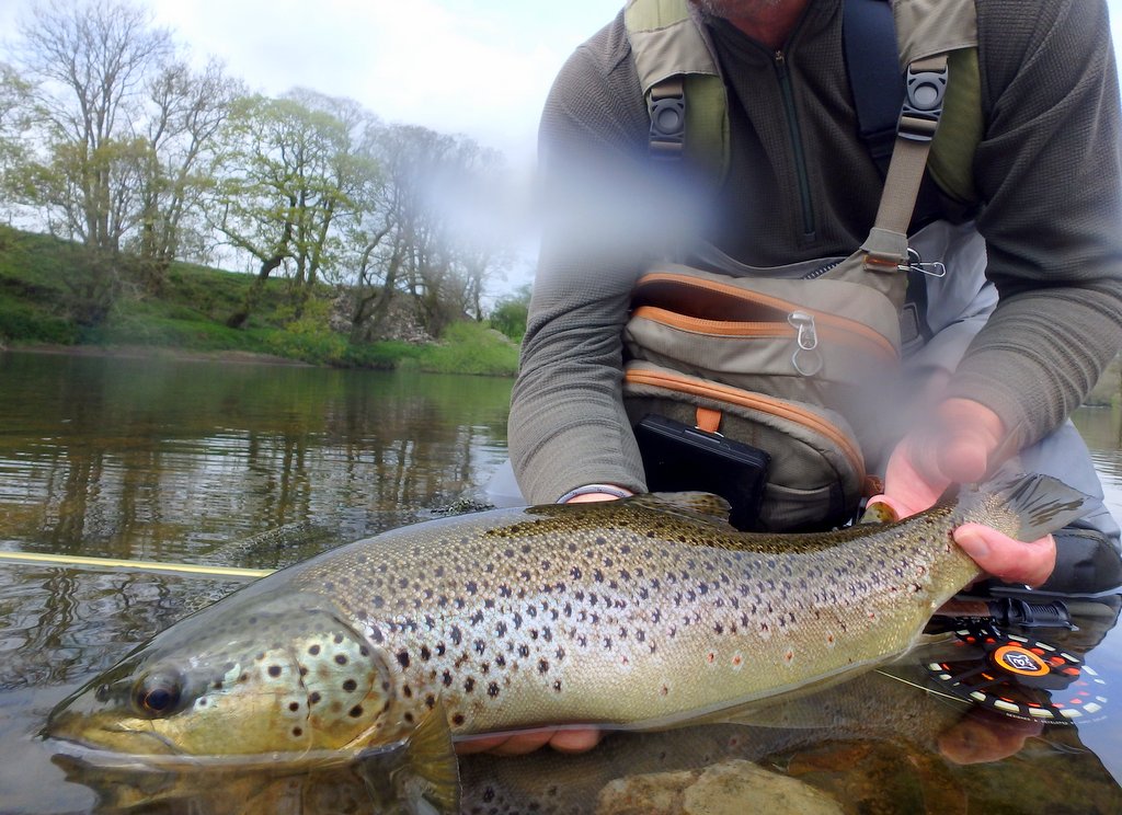 Enjoying the rub of the green with some stunning wildies of late...#longmayitcontinue

#hardy #ultralite #semperfli #redspots #outdoors #fullingmill #schoffel #partridgehooks #edenmade #wildfish #wildtrout #browntrout #flyfishing #fishing